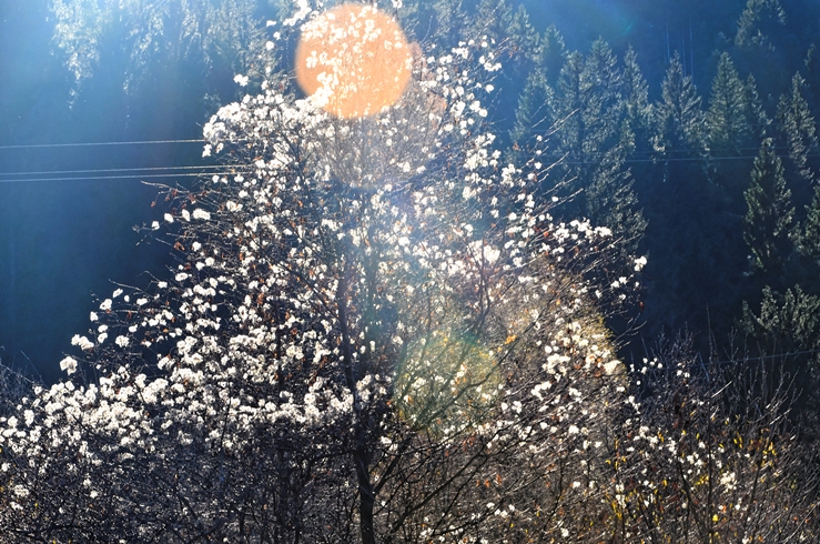 Foto: Florentin Mocanu